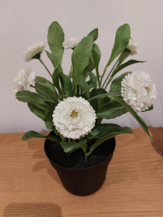 Cosy North Kensington Family Apartment For 4 Persons - Children Stay Free Londres Chambre photo